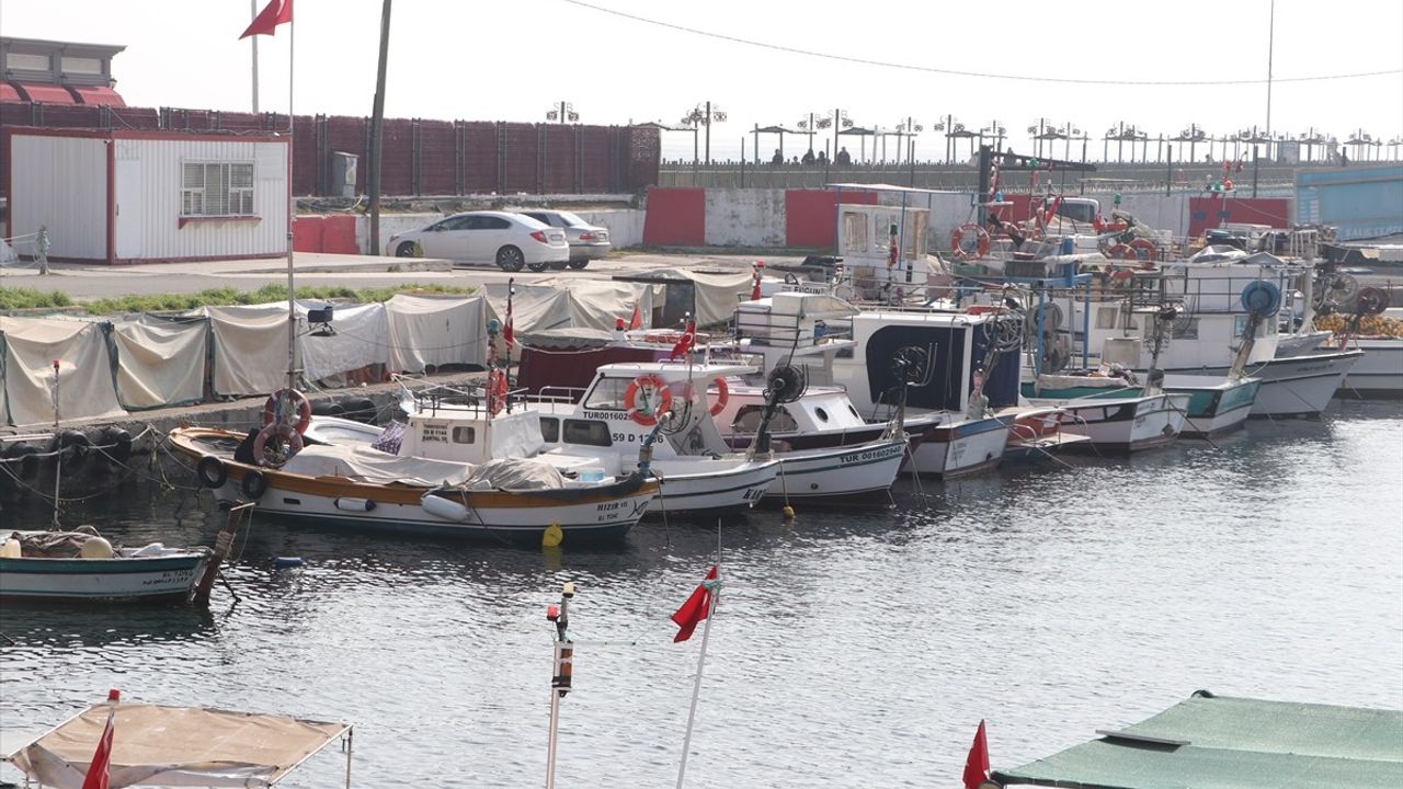 Tekirdağlı Balıkçılar Hamsi ve İstavrit İçin Denize Açıldı