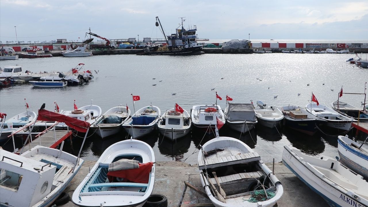 Tekirdağlı Balıkçılar Poyraz Nedeniyle Avlanamıyor