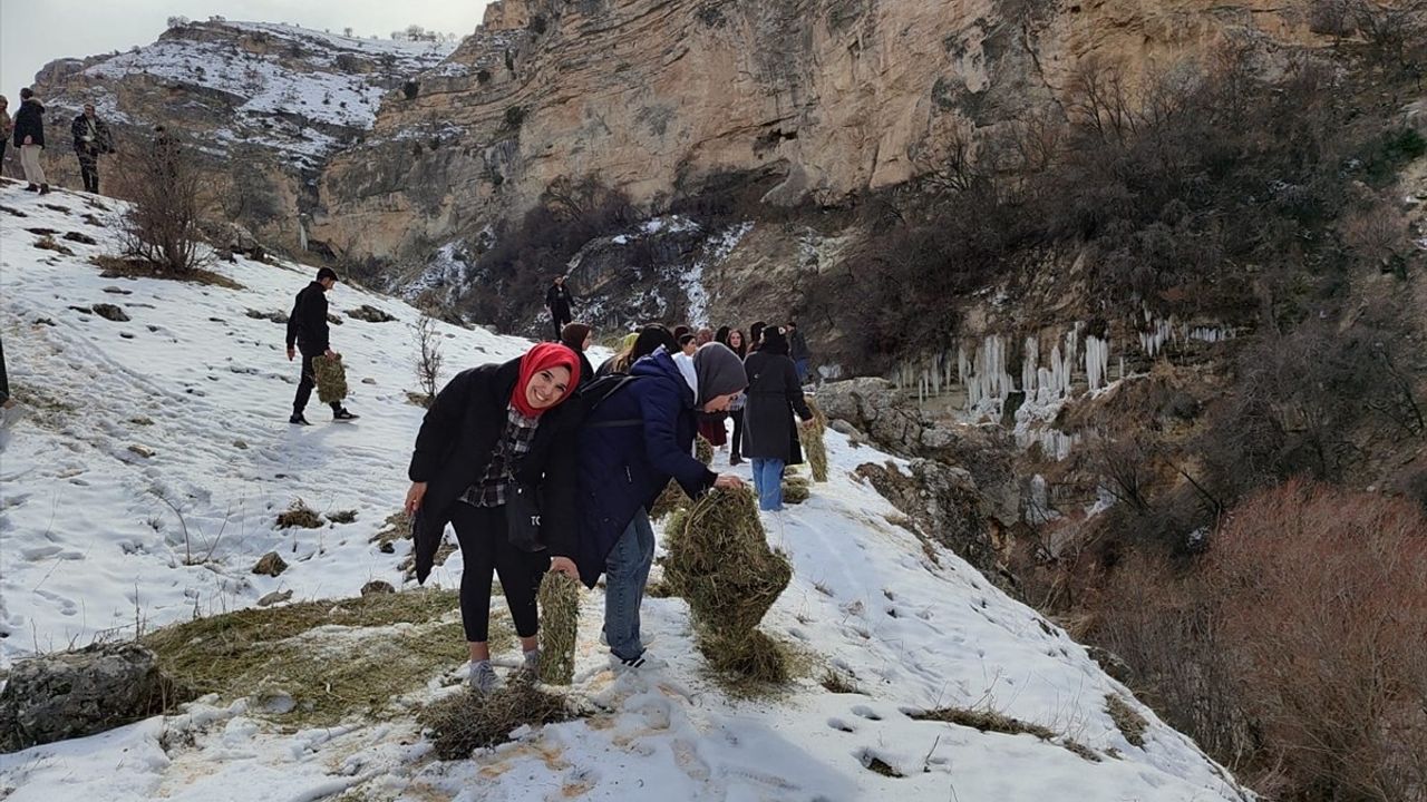 Tunceli'de Üniversite Öğrencilerinden Yaban Hayvanlarına Destek