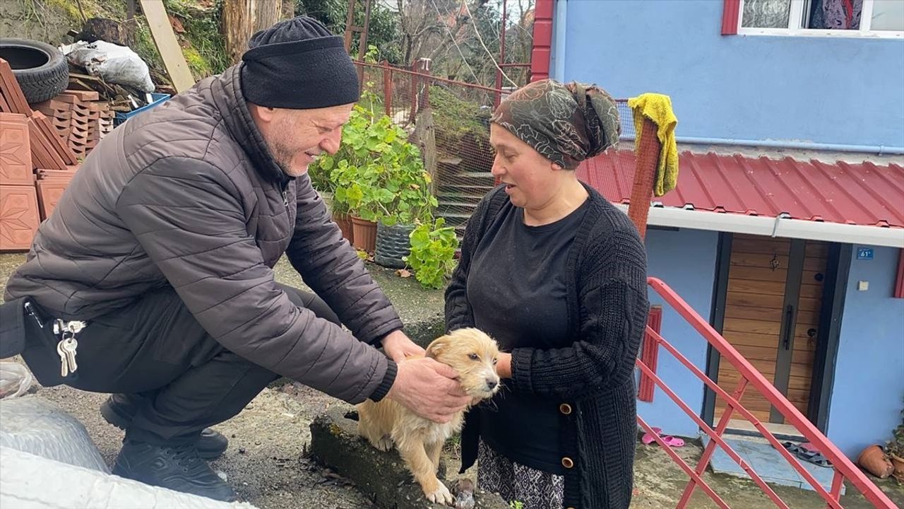 Zonguldak'ta Çöp Konteyneri Yanında Terk Edilen Yavru Köpek Sahiplendirildi