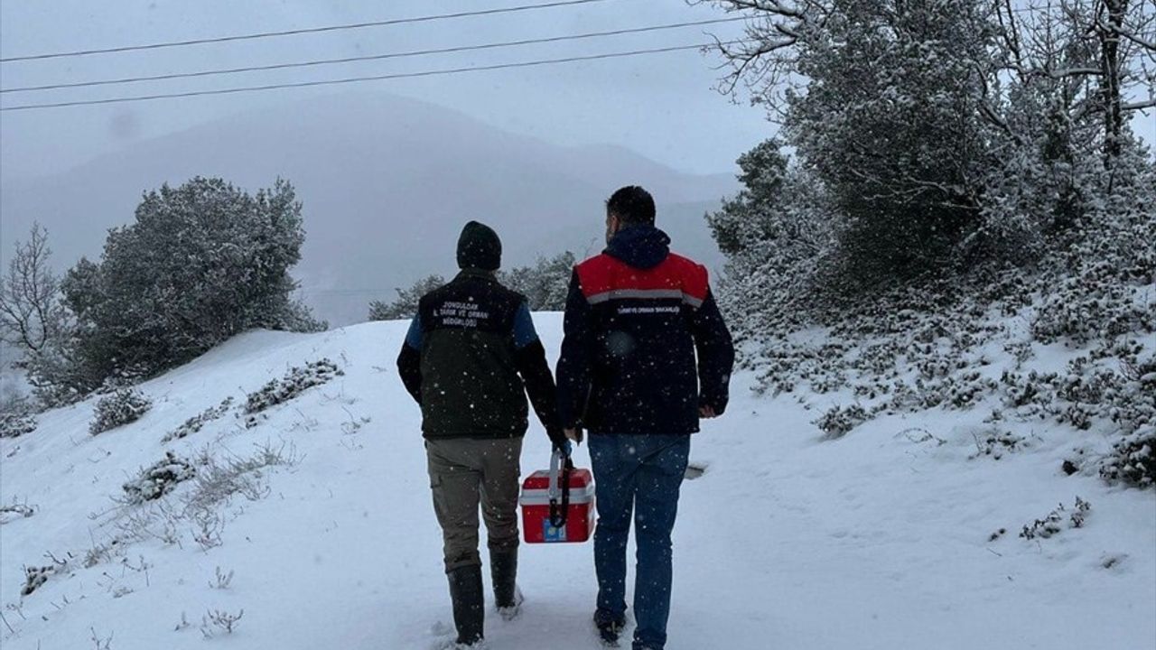 Zonguldak'ta Şap Hastalığı Nedeniyle Karantina Uygulaması