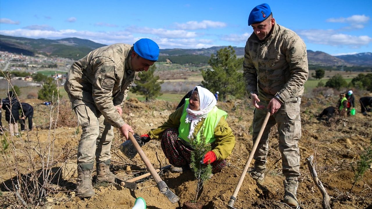 21 Bin 300 Fidan Toprakla Buluştu