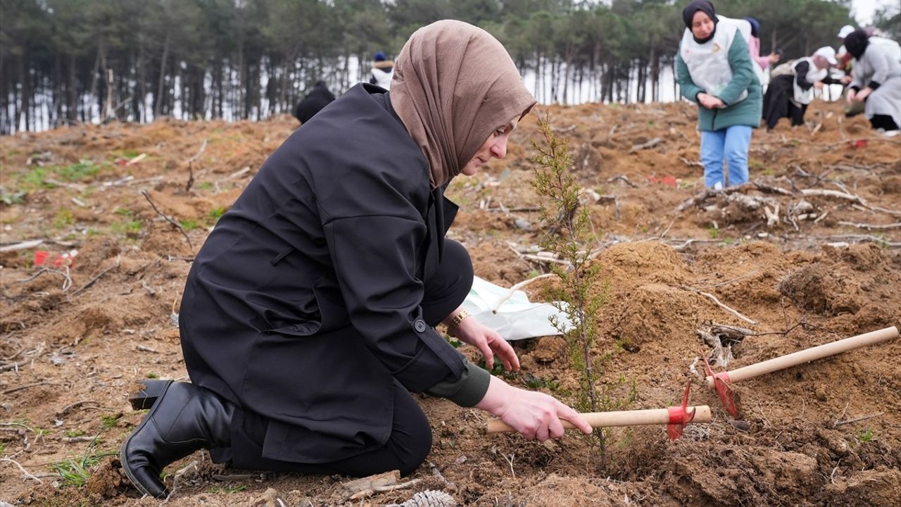 AK Parti İstanbul Kadın Kolları Tarafından Savaş Mağduru Kadınlar Anısına Fidan Dikimi