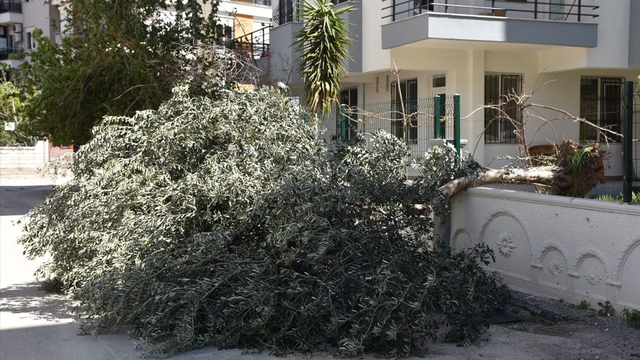 Antalya'da Kuvvetli Rüzgar Etkisini Gösterdi