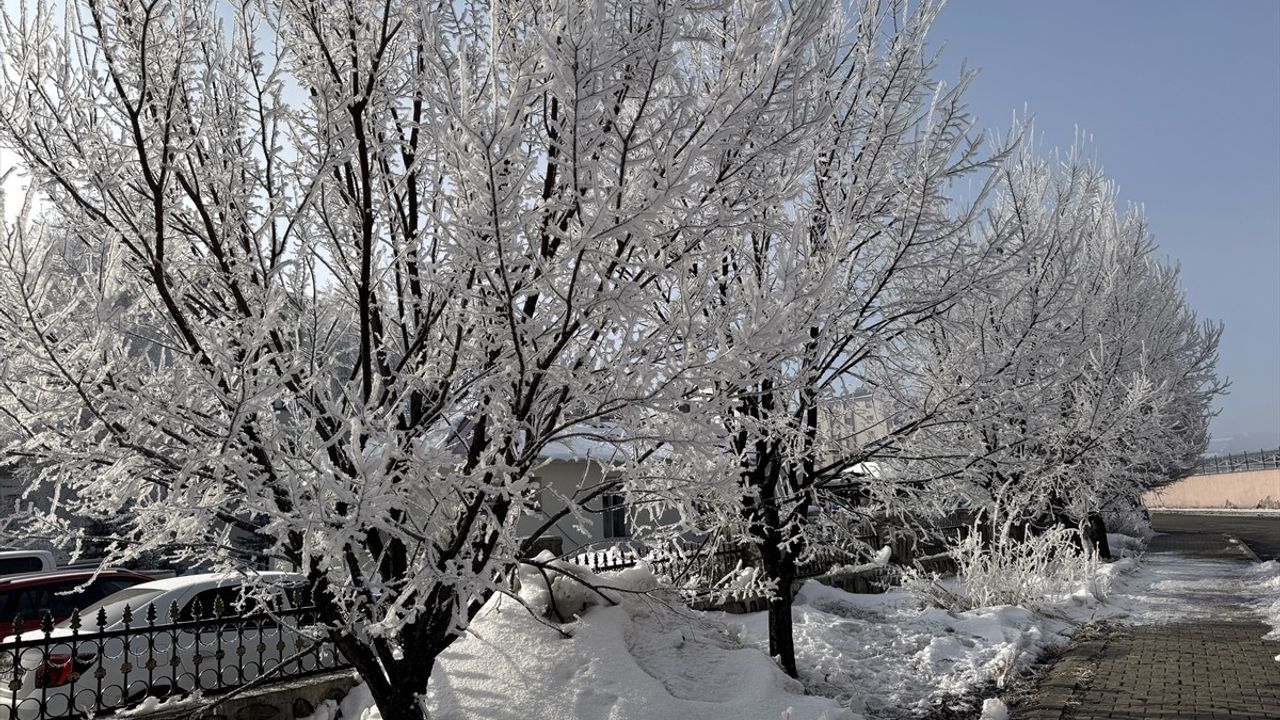 Ardahan'da Soğuk Hava Etkisiyle Buzlu Manzara