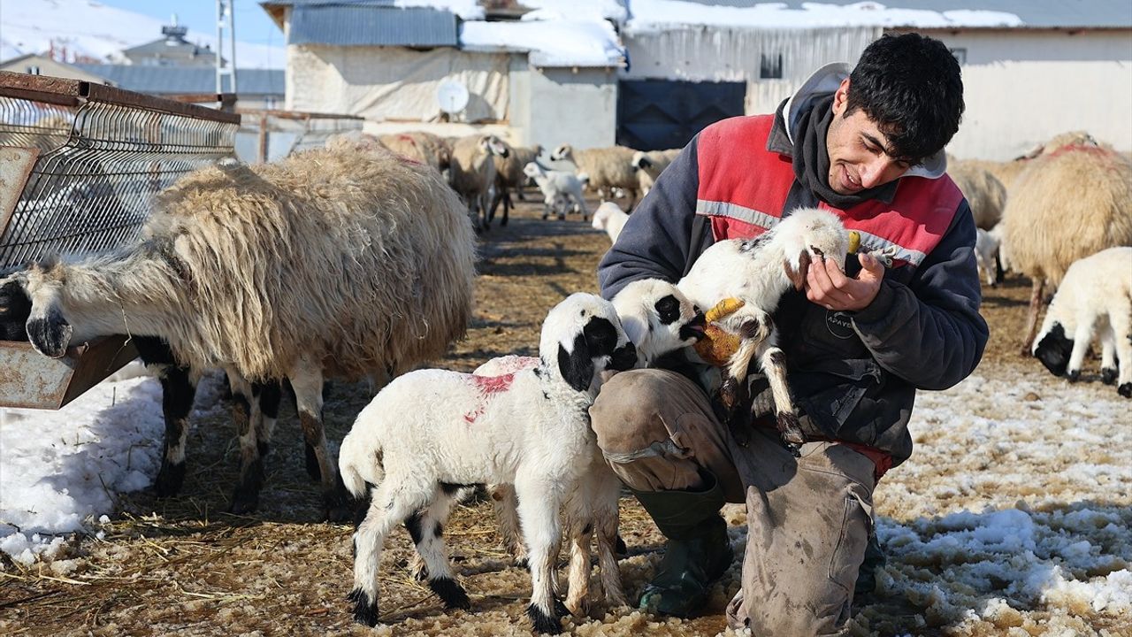 Bayburt'ta Besiciler Kışa Hazır