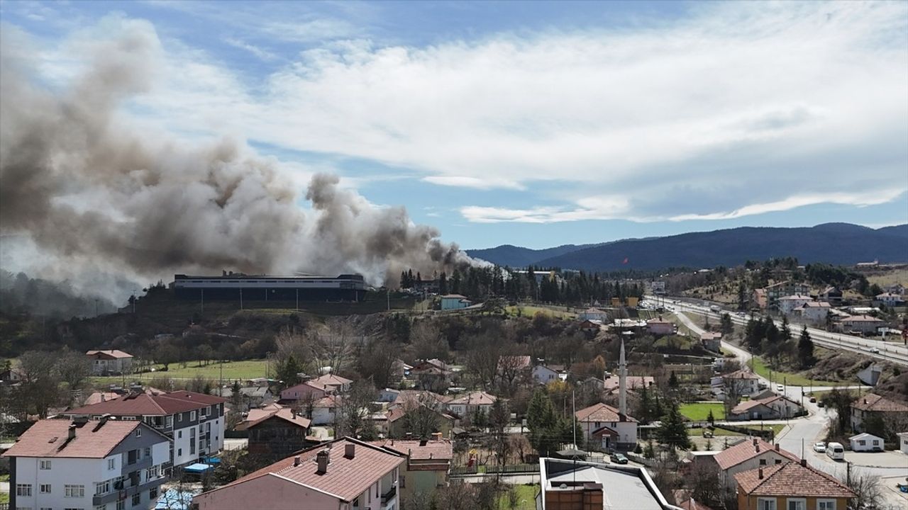 Bolu'da Orman Ürünleri Fabrikasında Yangın