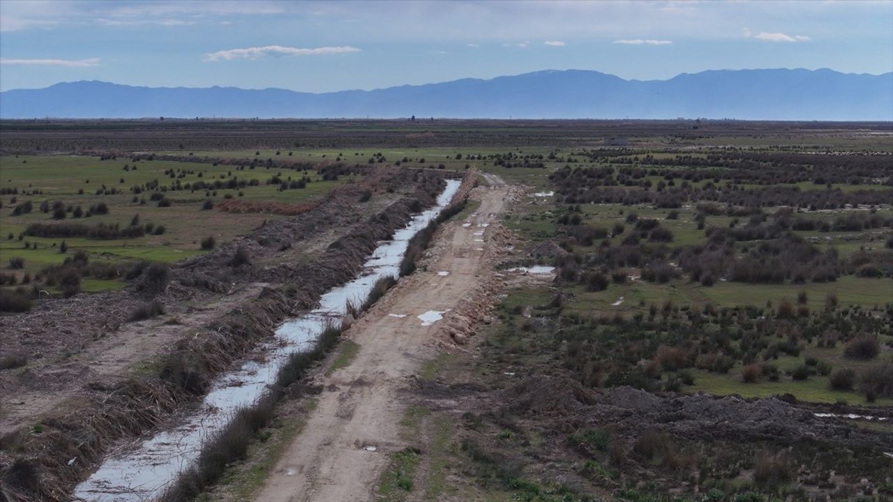 Çukurova'da Yenilikçi Tarım: Sera Tarıma Dayalı İhtisas Organize Sanayi Bölgesi