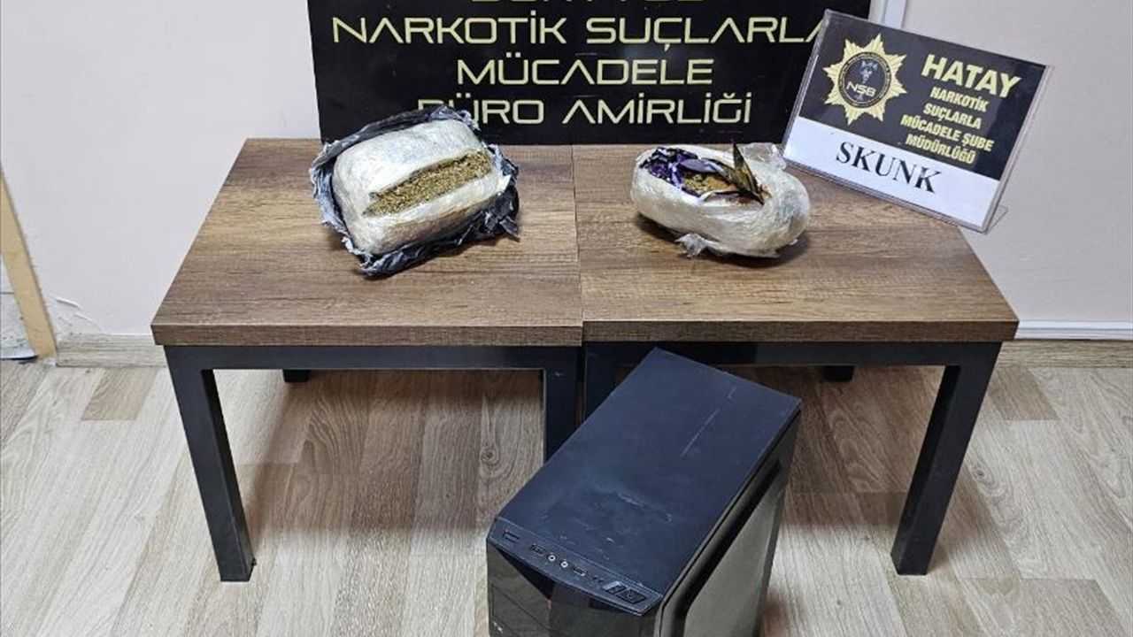 Hatay'da Bilgisayar Kasasında Skunk Ele Geçirildi