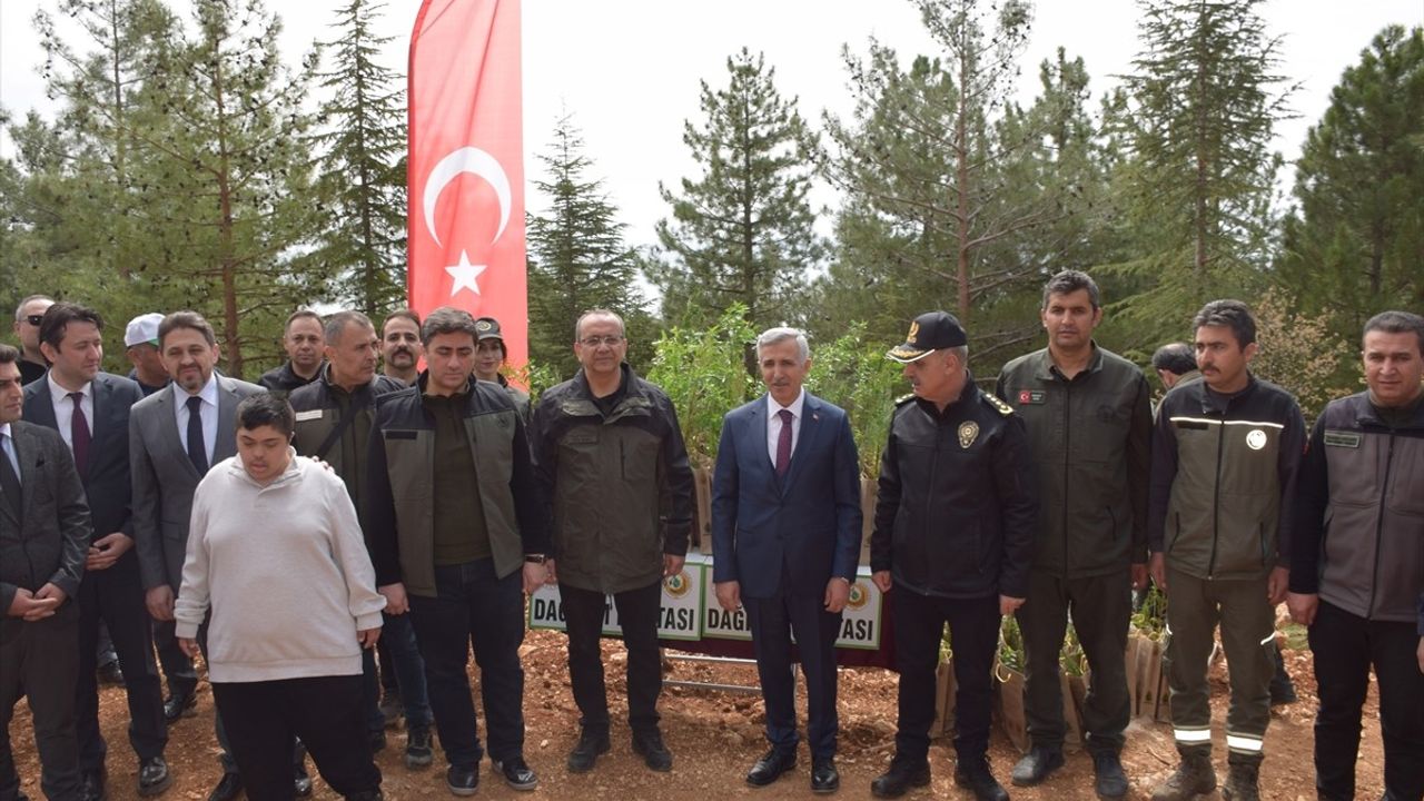 Kahramanmaraş'ta 4 Bin Kızılçam Fidanı Dikildi