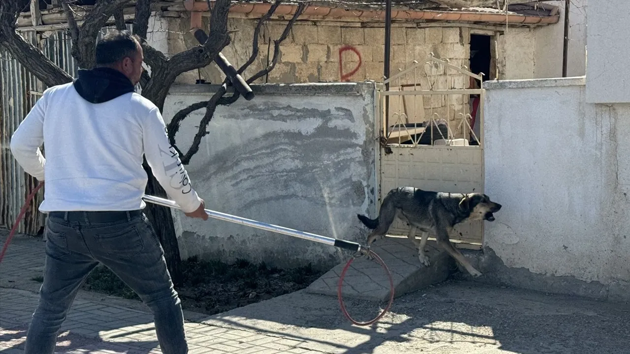 Karaman'da Baba Oğlunu Korurken Yaralandı