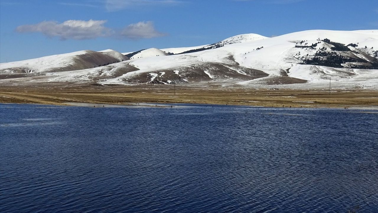 Kars'ta Kardelen ve Çiğdem Çiçekleri Baharı Karşılıyor