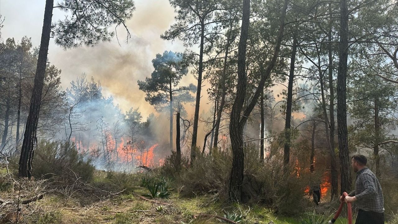 Kemer'de Orman Yangınına Müdahale Devam Ediyor