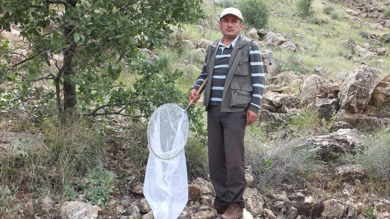 Kırşehir'de Yeni Bir Böcek Türü Keşfedildi: 'Emine'