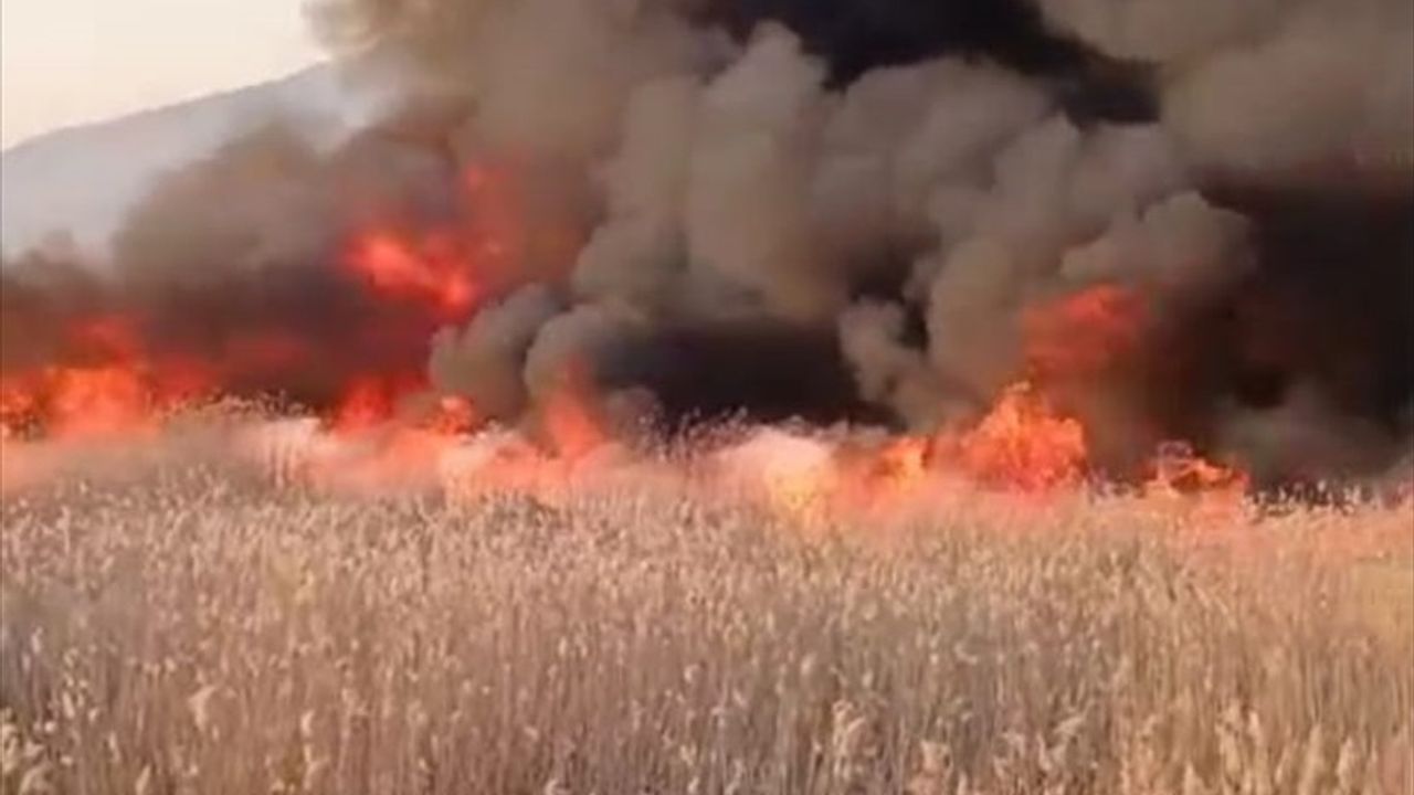 Malatya'nın Sazlık Alanındaki Yangın Kontrol Altına Alındı