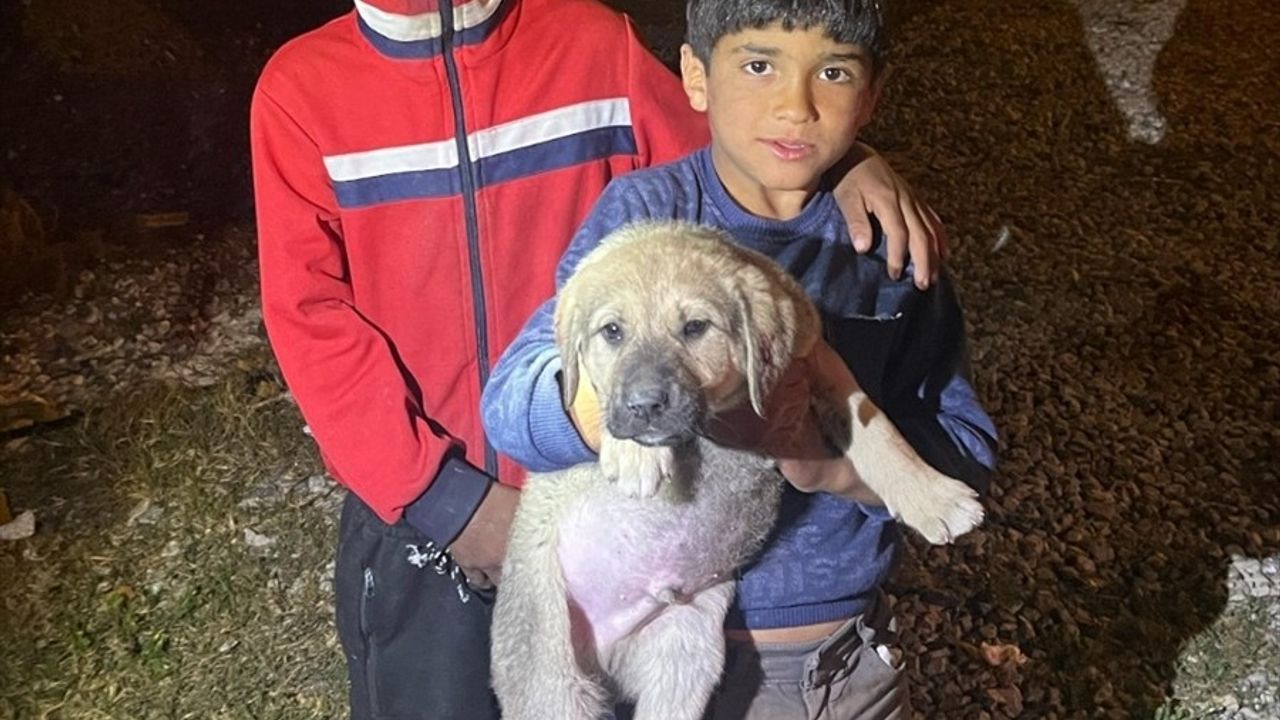 Mersin'de Kuyuya Düşen Köpek Yavrusunu İtfaiye Kurtardı