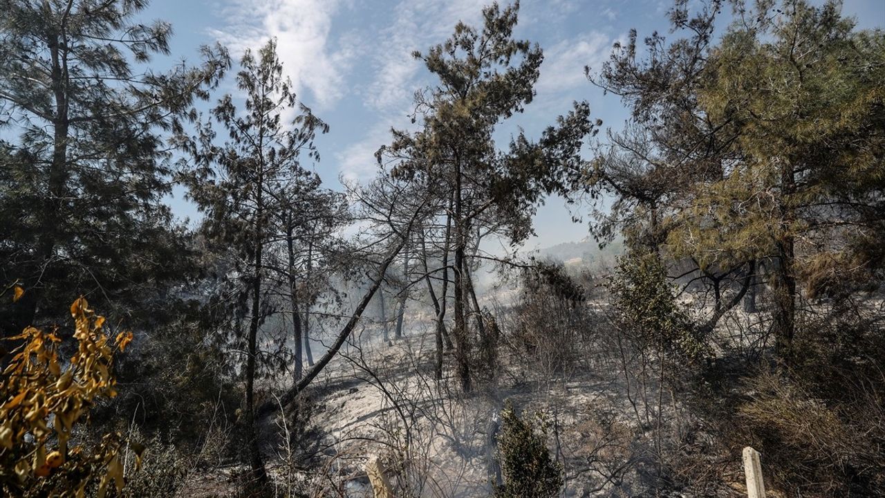 Mersin'deki Tarım Arazisinde Yangın Kontrol Altına Alındı
