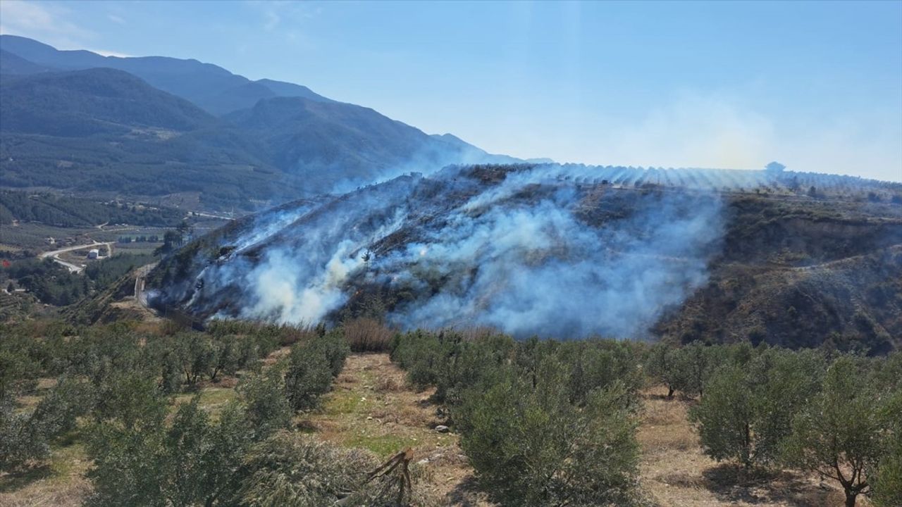 Osmaniye'de Ortaya Çıkan Yangın Kontrol Altına Alındı