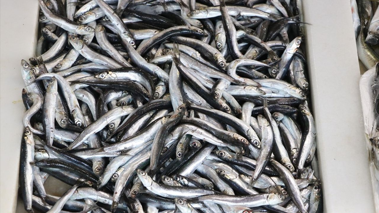 Ramazan'da Tekirdağ'ın Hamsi Tercihi