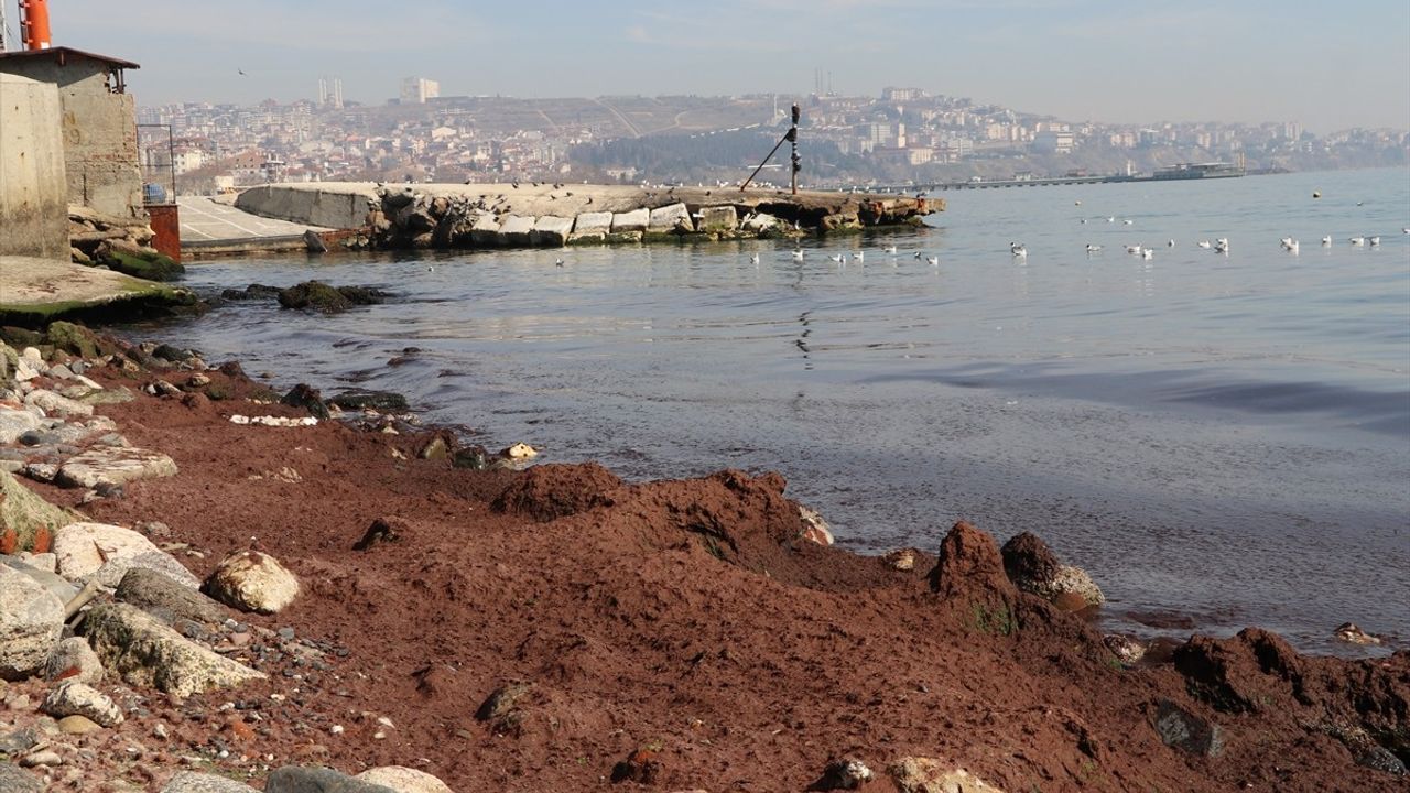 Tekirdağ'da Kırmızı Yosun Uyarısı: Vatandaşları Endişelendirecek Bir Durum Yok