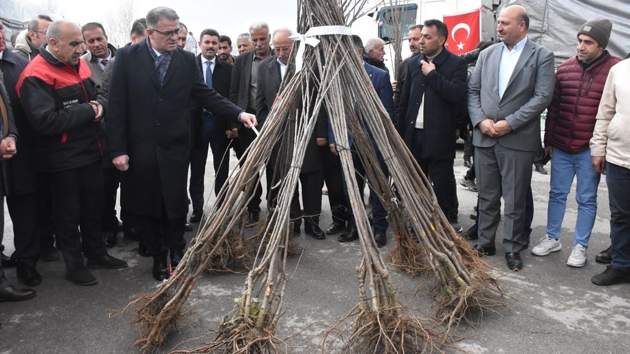 Van'da Çiftçilere 1 Milyon 390 Bin Meyve Fidanı Dağıtıldı