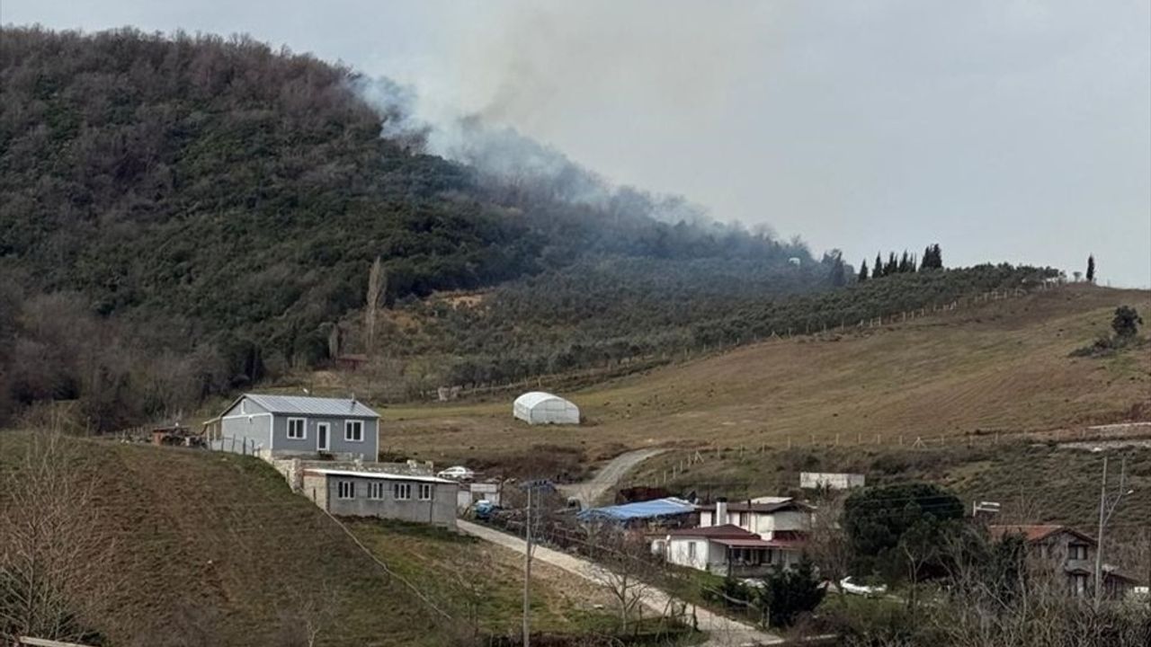 Yalova'da Orman Yangınına Müdahele Ediliyor