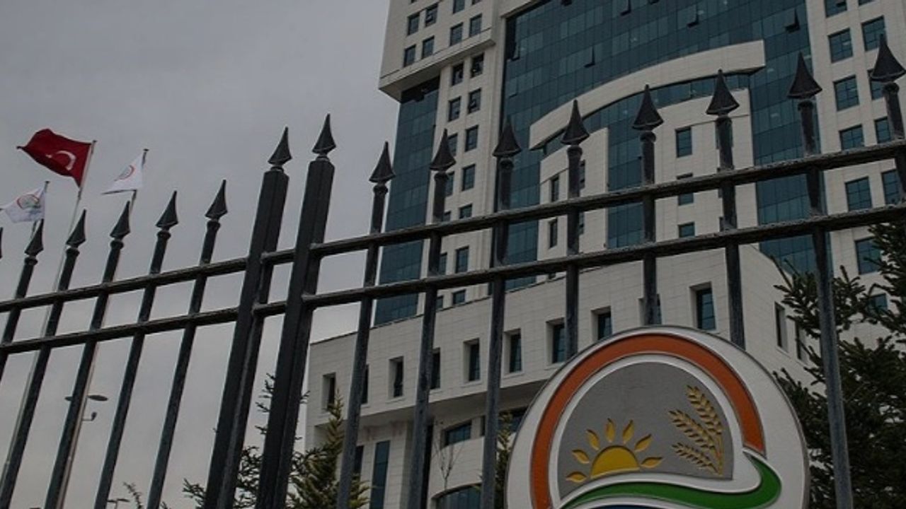 Antalya, Sakarya ve Afyonkarahisarlılar dikkat! Herkesin en az 1 kere gittiği o mekanda eşek eti çıktı 