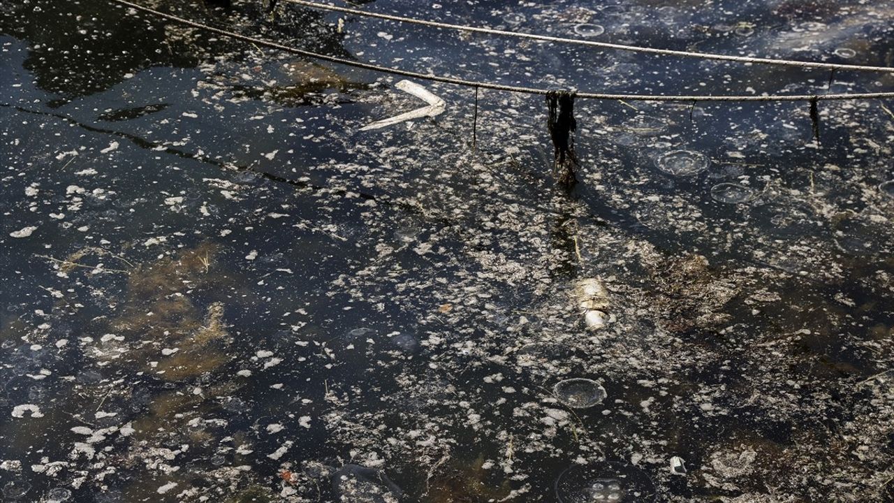Beykoz Sahilinde Müsilaj Alarmı