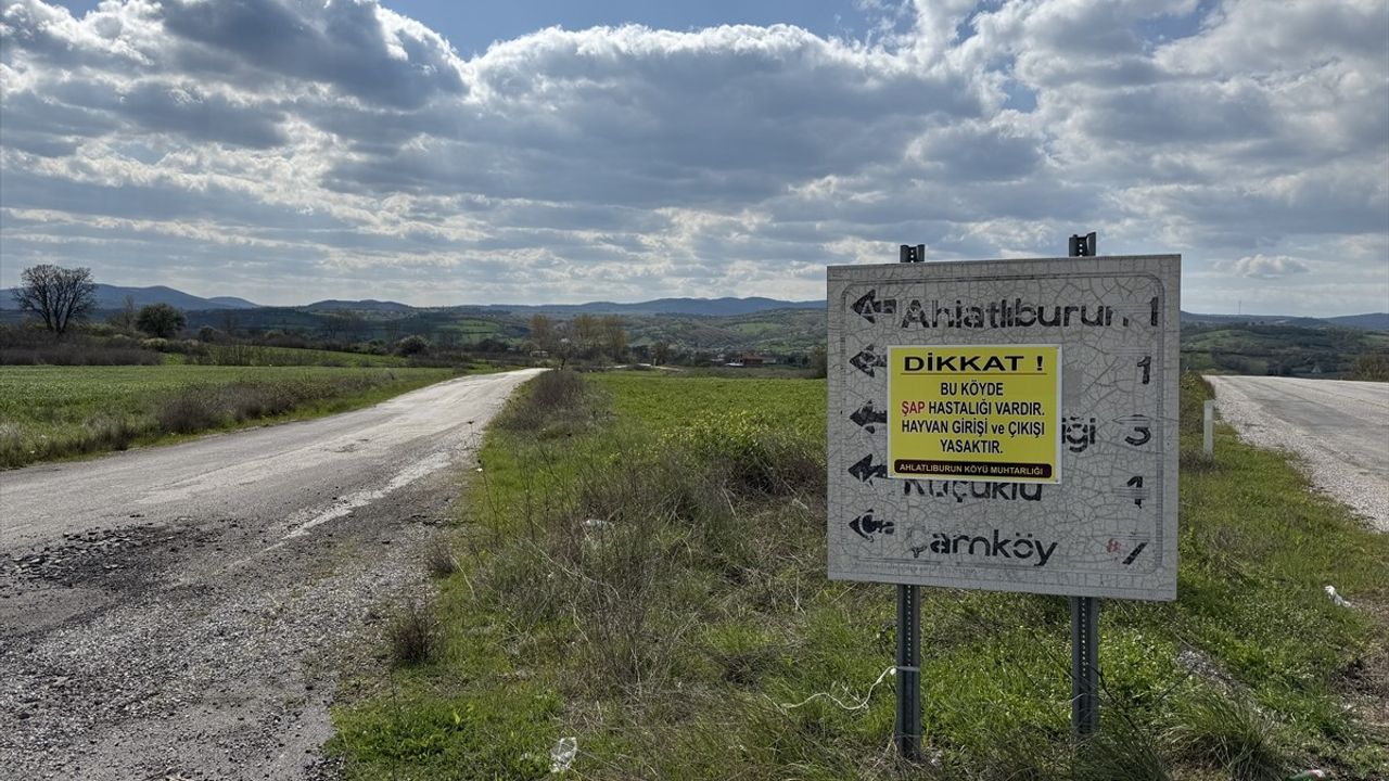 Çanakkale'de Şap Hastalığı Nedeniyle Yeni Karantina Uygulaması Başlatıldı