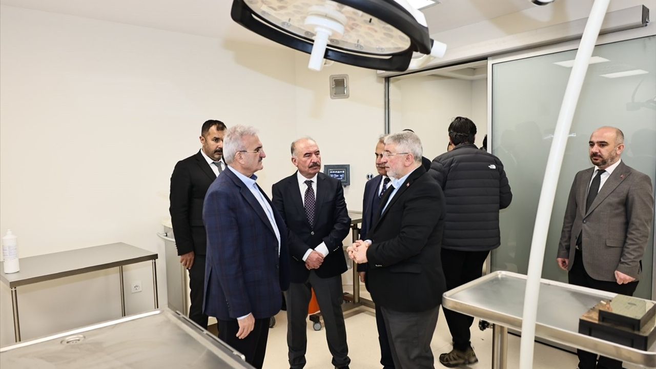 Çorum'da Hayvan Koruma Çalışmaları İncelendi