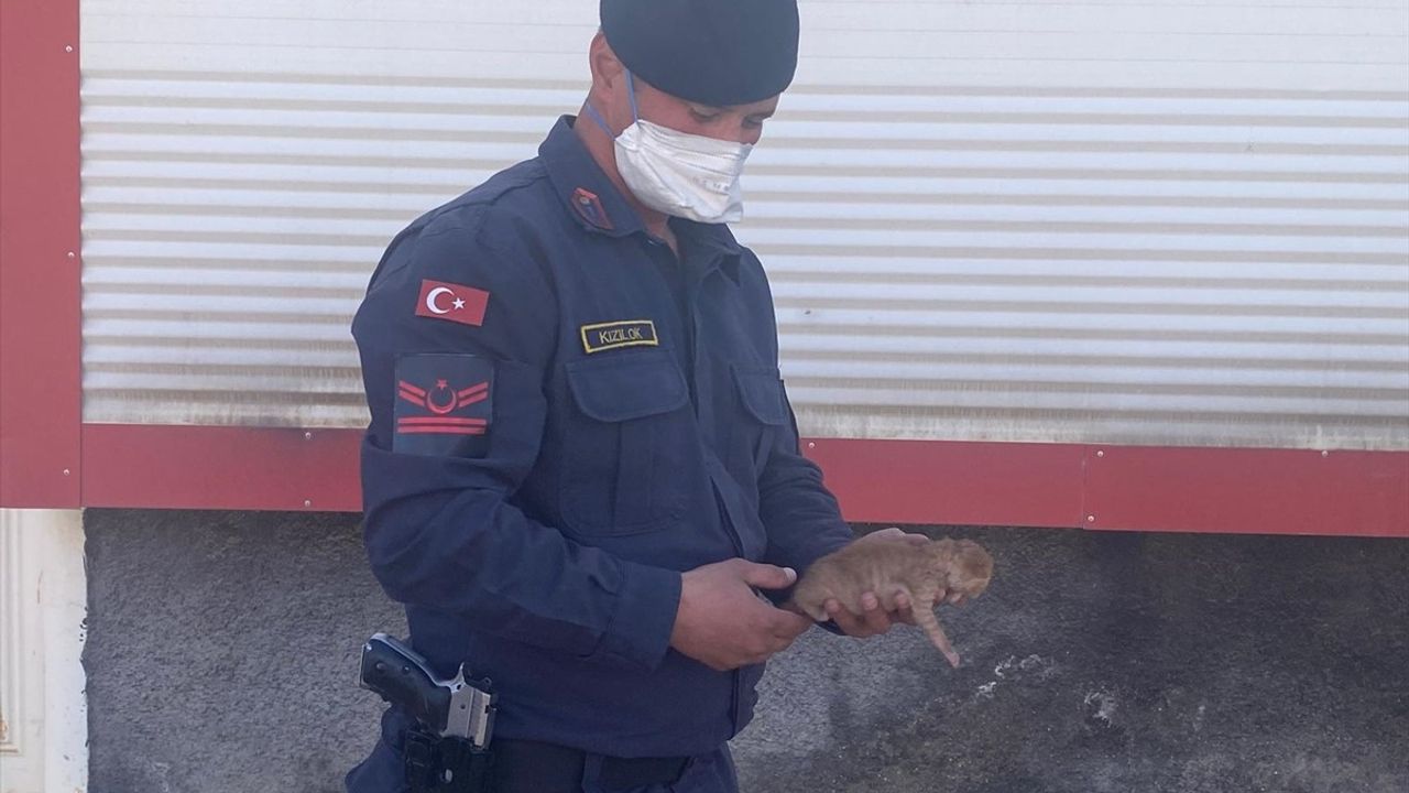 Diyarbakır'daki Yangın Kontrol Altına Alındı