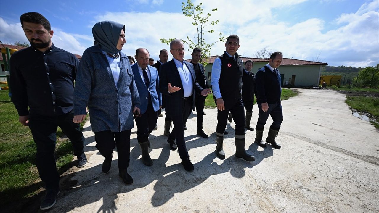 Düzce'de Sahipsiz Hayvanlar İçin İnceleme