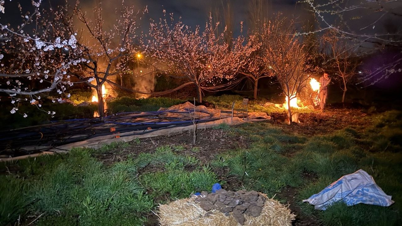 Erzincan'da Kayısı Üreticileri Don Tehditine Karşı Nöbette