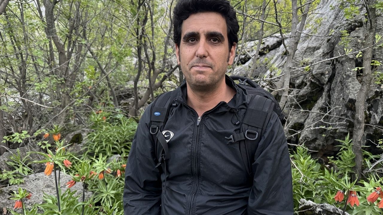 Görese Dağı'nda 'Ağlayan Gelin' Ters Lale Avı