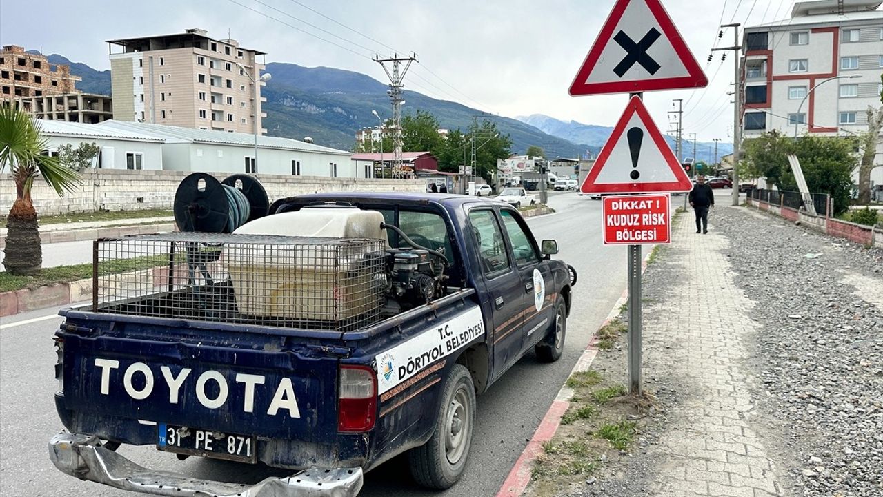 Hatay'da Kuduz Riski Nedeniyle Mahalle Karantinaya Alındı