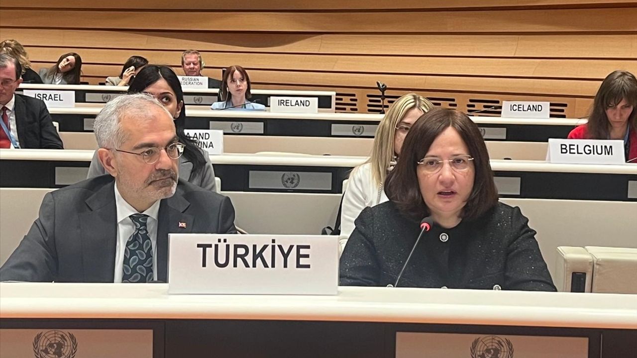 İklim Değişikliği Sorunu ve Türkiye'nin Stratejileri