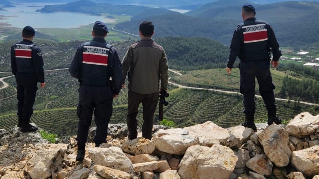Isparta'da Yaban Keçisi Avına Büyük Ceza