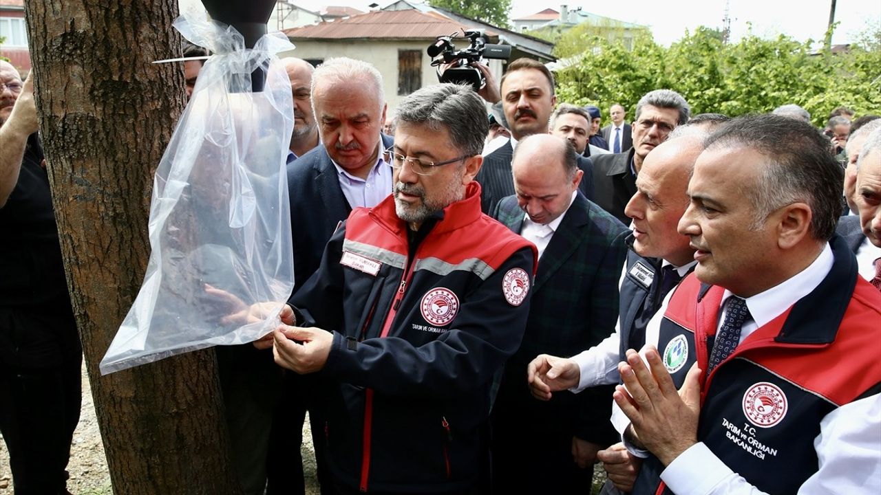 Kahverengi Kokarca ile Mücadelede Yeni Stratejiler