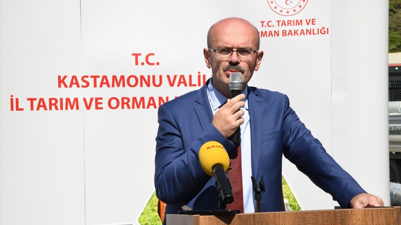 Kastamonu'da Üreticilere Sera Örtüsü Dağıtımı Yapıldı