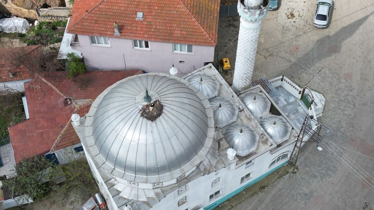 Leyleklerin Gözde Yuvasi: Karahisarlı Camisi