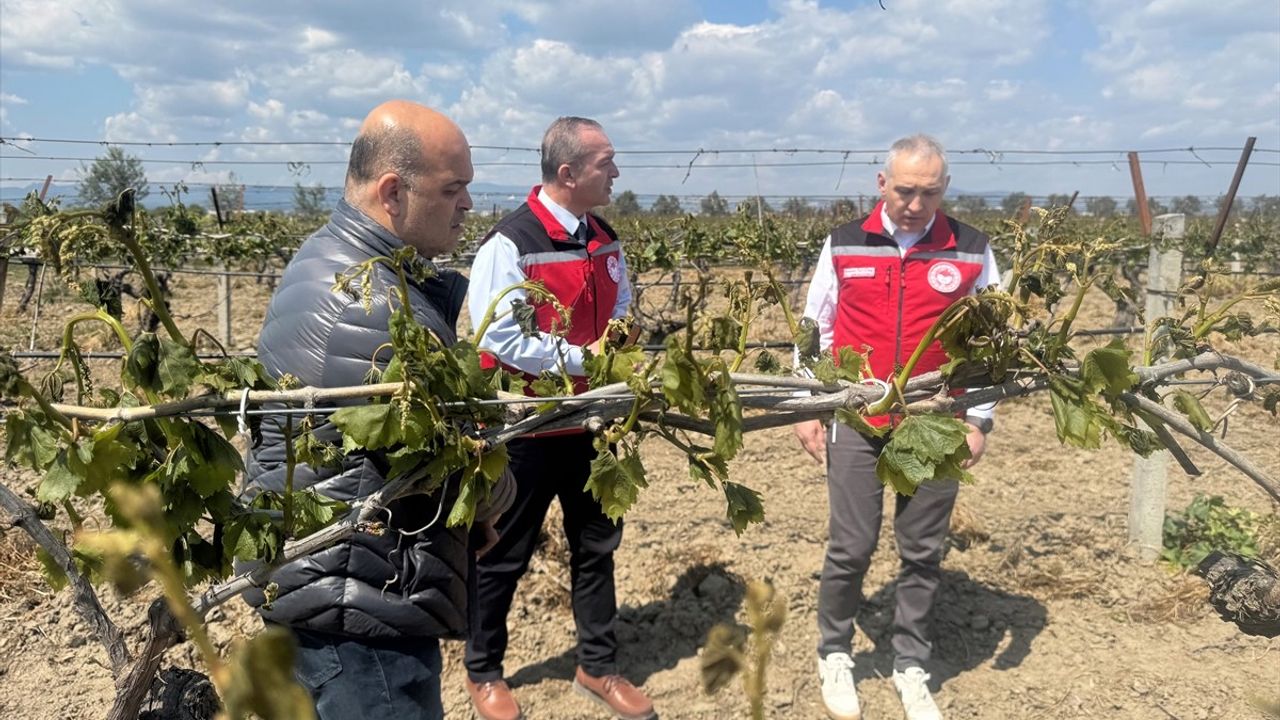 Manisa'da Zirai Don Tarım Alanlarını Vurdu