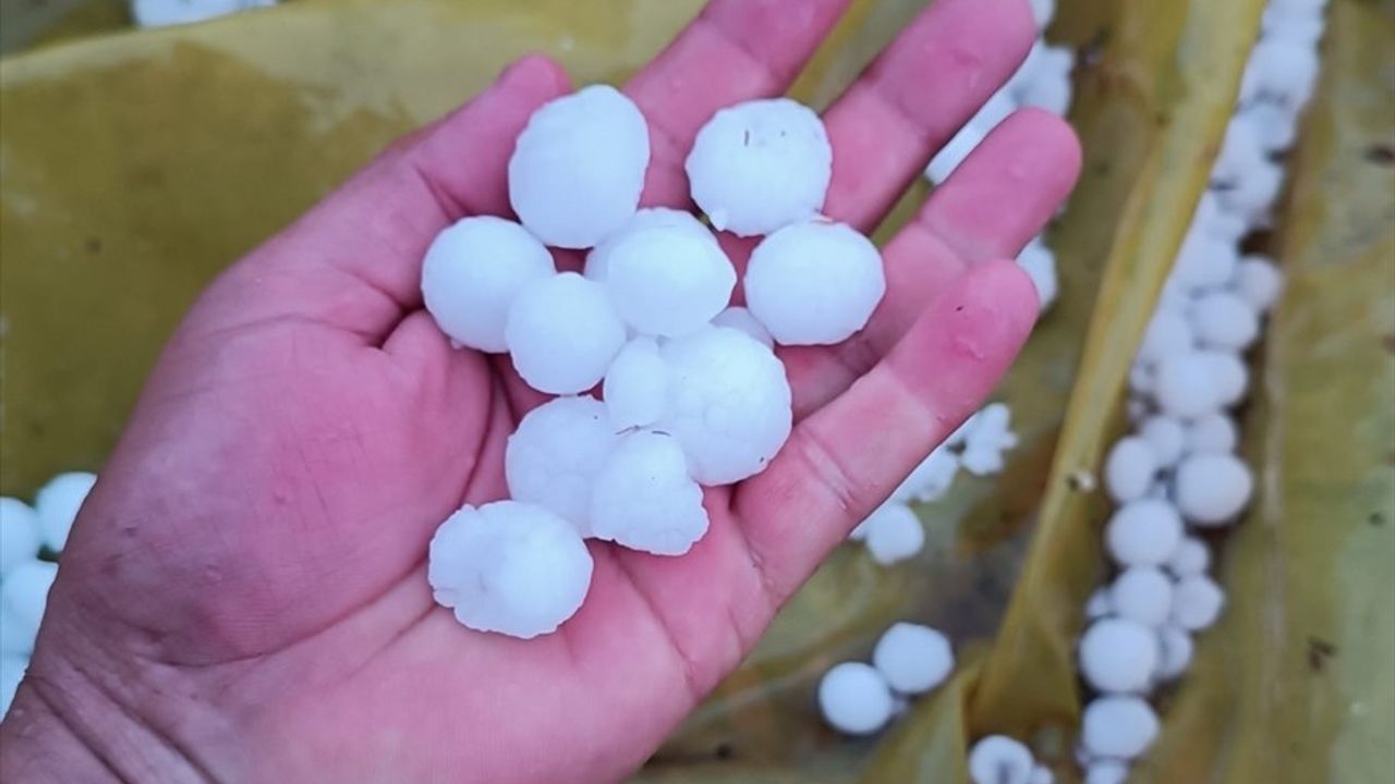 Mersin Erdemli'de Dolu Tarım Alanlarına Zarar Verdi