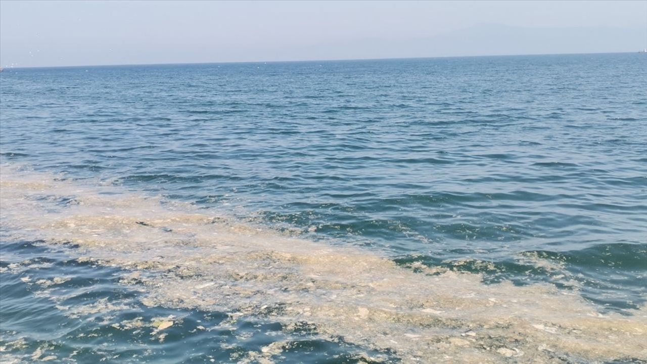 Mudanya Kıyılarında Müsilaj Alarmı