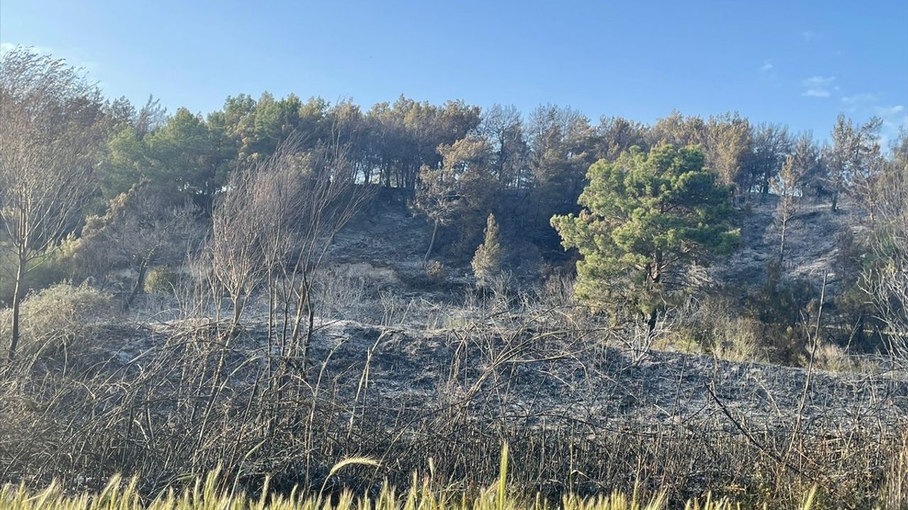 Muğla'da Tarım Arazisinde Çıkan Yangın Kontrol Altına Alındı