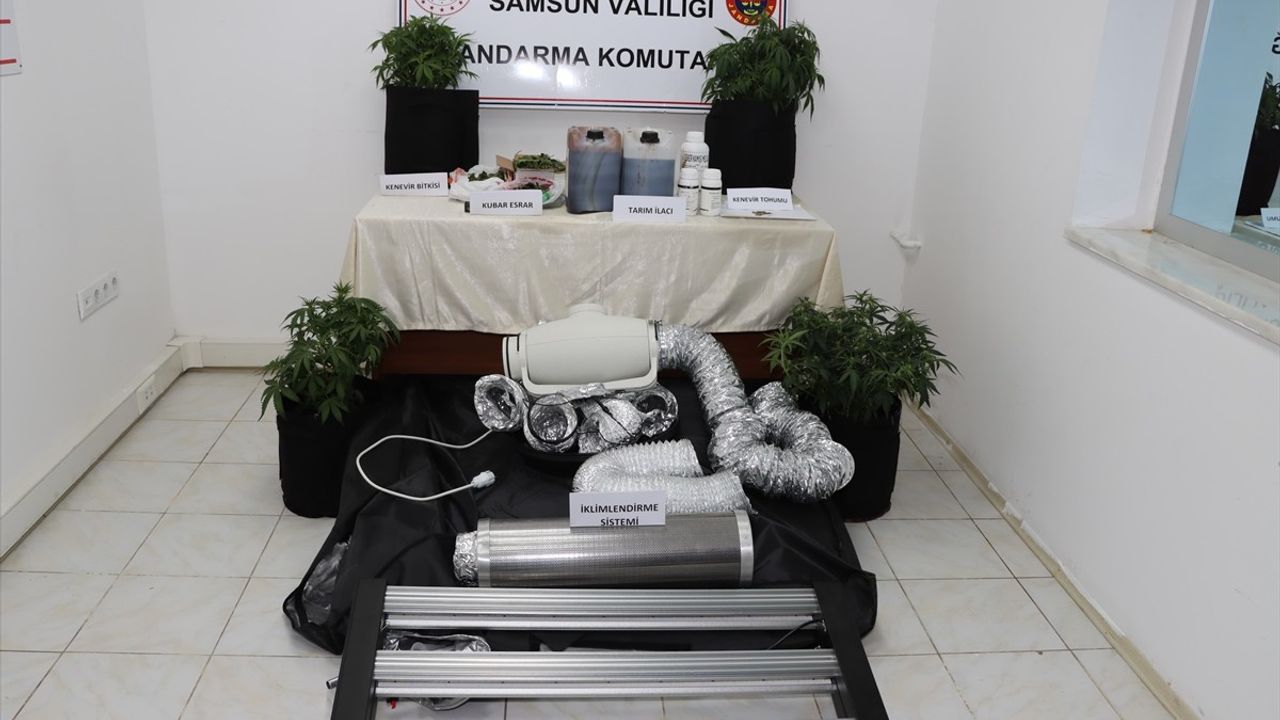 Samsun'da Kenevir Yetiştiren Zanlı Yakalandı