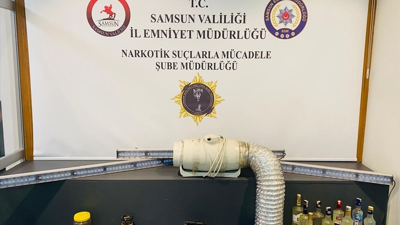 Samsun'da Yasa Dışı Kenevir Yetiştiriciliği: Zanlı Yakalandı