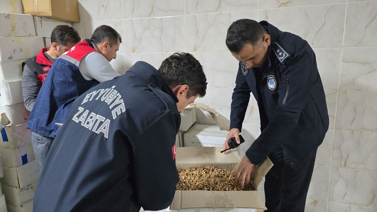 Şanlıurfa'da Baklava Üretiminde Küflenmiş Ceviz Ele Geçirildi
