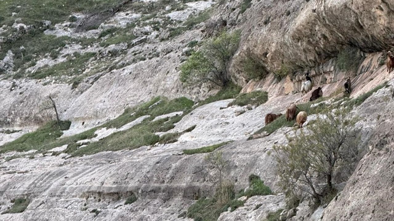 Siirt'te Mahsur Kalan Çoban Kurtarıldı