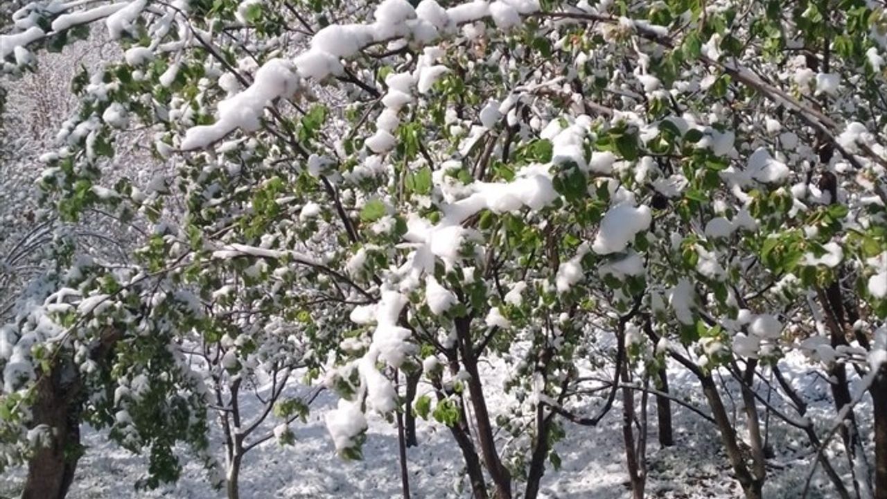 Sivas Valiliği'nden Zirai Don Uyarısı