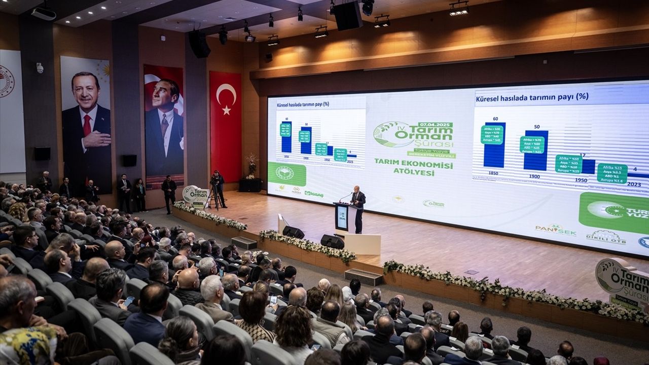 Tarım Sektörü Destekleniyor: Bakan Şimşek'in Açıklamaları